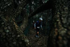 BIB: 
                            <button type="button" onclick="openModal(25688424)" class="btn btn-primary btn-sm float-right btn-popup" data-toggle="modal" data-target=".modal-high-quality">
                        <i class="fas fa-shopping-cart"></i> Add to Cart
                    </button>
                                            <button type="button" onclick="isThisMe(25688424, true)" class="btn btn-success btn-sm float-right btn-popup btn-isme hidden" data-toggle="tooltip" data-placement="bottom" title="นี่คือรูปของคุณใช่ไหม คลิกที่นี่เพื่อเอาเข้าอัลบั้ม">
                        <i class="fas fa-plus"></i> Add to album
                    </button>
                    <button type="button" onclick="isThisMe(25688424, false)" class="btn btn-warning btn-sm float-right btn-popup btn-isnotme hidden">
                        <i class="fas fa-ban"></i> Remove from album
                    </button>